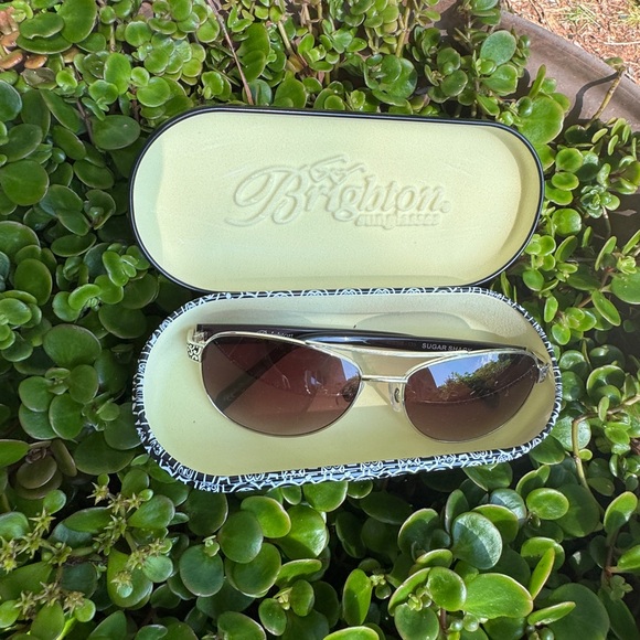 Brighton Black and Silver Sunglasses with Classic Style - Picture 3 of 6